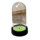 acrylic  Display Dome Cloche, Clear Bell Jar with Black Base,  Decorative Display Case, Home Decor, 1 Piece