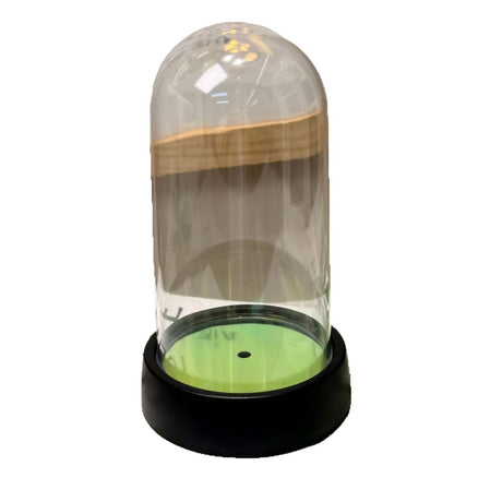 acrylic  Display Dome Cloche, Clear Bell Jar with Black Base,  Decorative Display Case, Home Decor, 1 Piece