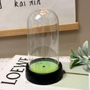 acrylic  Display Dome Cloche, Clear Bell Jar with Black Base,  Decorative Display Case, Home Decor, 1 Piece