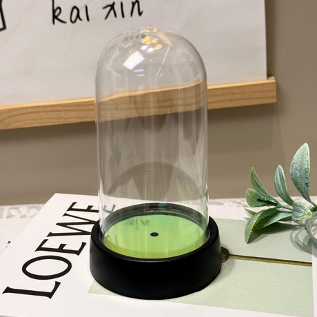 acrylic  Display Dome Cloche, Clear Bell Jar with Black Base,  Decorative Display Case, Home Decor, 1 Piece