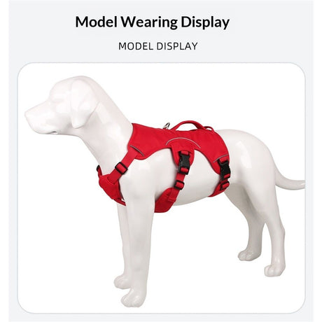 Multi-Use Support Dog Harness, Hiking and Trail Running, Service and Working, Everyday Wear, Red  M