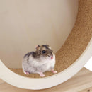 Small Pets Exercise Wheel Hamster Wooden Mute Running Spinner Wheel Play Toy for Rat Gerbil Mice Chinchillas Hedgehogs Guinea Pigs （Small 15*8.5*17CM)