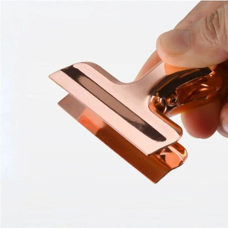 2pcs Food Sealing Clips Snack Bag Sealer for Chips Bread and Grains Fresh-Keeping Stainless Steel Large Bull Clips Clamps for Drawing Board, Home Kitchen Office (Champagne)