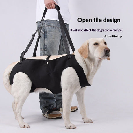 Lift Harness,Full Body Dog Sling Carrier with Handle,Total Body Support for Dogs,Pet Dog Leg Support Sling Adjustable Retractable Breathable Lift Harness (M)