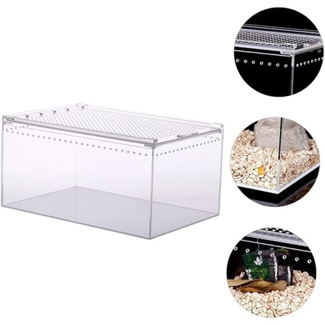 Reptile Terrarium Enclosure  Acrylic Tarantula Breeding Box Magnetic Hermit Crab Habitat Tank Transparent Jumping Spider Cage for Insect Snail Amphibians Sling Isopods（20*15*10cm）
