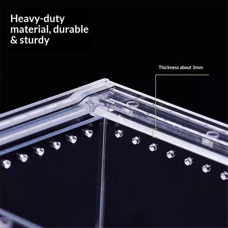 Reptile Terrarium Enclosure  Acrylic Tarantula Breeding Box Magnetic Hermit Crab Habitat Tank Transparent Jumping Spider Cage for Insect Snail Amphibians Sling Isopods（20*15*10cm）