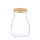 Glass Plant Jar -Plants Propagation Station - Micro Landscape Terrarium Container Desktop Plant Jar Hydroponic Vases Gardening for Plant Lovers(Medium T-shaped)