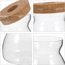 Glass Plant Jar -Plants Propagation Station - Micro Landscape Terrarium Container Desktop Plant Jar Hydroponic Vases Gardening for Plant Lovers(Medium T-shaped)