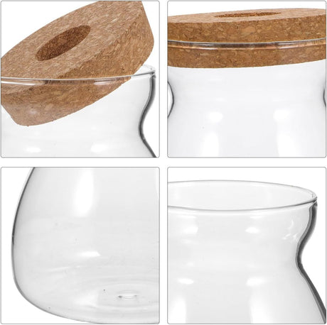 Glass Plant Jar -Plants Propagation Station - Micro Landscape Terrarium Container Desktop Plant Jar Hydroponic Vases Gardening for Plant Lovers(Medium T-shaped)