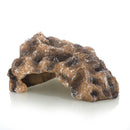 Simulate rocks, avoid aquatic creatures, create scenery, crawl pets, avoid caves, guard palaces, lizards, horned frogs, pets, snakes, turtles（small size）