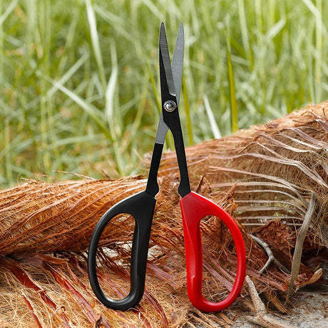 Bonsai Cutter Pruning Shear tool used for Gardening, Arranging Flowers, Trimming Plants, Branches, Stainless Steel Red White Handles
