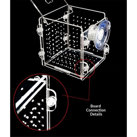 Acrylic Fish breeding Box, Acrylic Fish Isolation Box, Fish Separator for Aquarium, Hatchery Incubator with Suction Cups for Small Baby Fishes Shrimp Clownfish Guppy