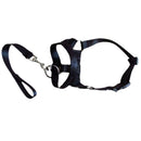 Pressure free dog training headband for traction, no traction hood, with adjustable seat belt for walking training, responsive large dog (M)Black