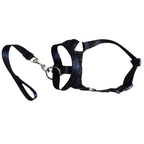 Pressure free dog training headband for traction, no traction hood, with adjustable seat belt for walking training, responsive large dog (M)Black
