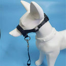 Pressure free dog training headband for traction, no traction hood, with adjustable seat belt for walking training, responsive large dog (M)Black