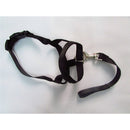 Pressure free dog training headband for traction, no traction hood, with adjustable seat belt for walking training, responsive large dog (M)Black