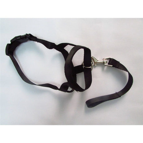 Pressure free dog training headband for traction, no traction hood, with adjustable seat belt for walking training, responsive large dog (M)Black