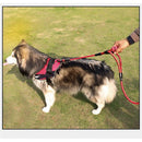 Dog Leash 5ft Long with 2 Comfortable Padded Handles, Reflective Threads Double Handles Lead for Control Safety Dog Training Leash for Small Medium Large Dogs (5 FT, Red)