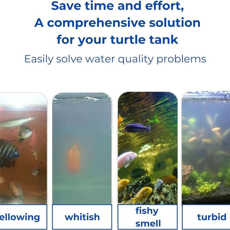 2 set Turtle Feeding Ring with Suction Cup and Nitrifying Balls Fish Food Holder Aquatic Toys for Turtles Tortoise Goldfish Guppy Koi Puffer Turtle Tank Accessories (Square & Circle)