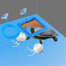 2 set Turtle Feeding Ring with Suction Cup and Nitrifying Balls Fish Food Holder Aquatic Toys for Turtles Tortoise Goldfish Guppy Koi Puffer Turtle Tank Accessories (Square & Circle)