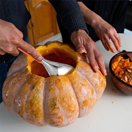 Pumpkin Scraper Serrated Spoon Pumpkin Core Remover Scoop Stainless Steel Corer Scooper for Fruits Vegetables Home Kitchen