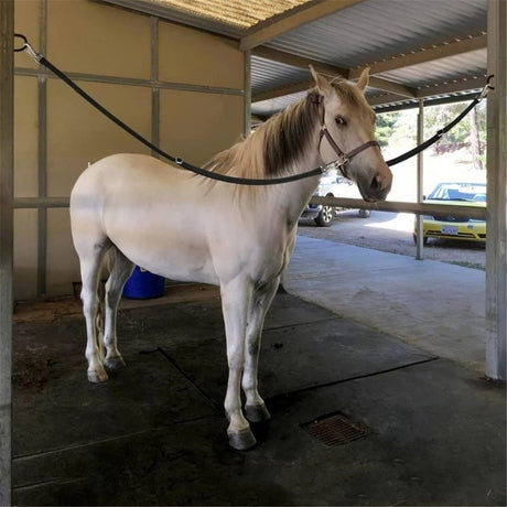 Trailer Cross Tie, Horse Haulage Adjustable Nylon Straps Leads with Panic Snap Fixed Eye Equestrian Equipment