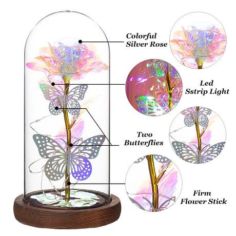 Blue & Silver Butterfly Lantern - Enchanted LED Decorative Light