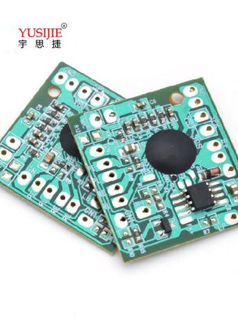 Voice Recording Module - 10-Pack (30-Second Recording Capacity)