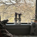 Funny Couple Air Plant Holder - Cheeky Anniversary Gift