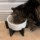 Elevator Pet Bowl, Neck Support Food Bowl, Easy to Clean (Elevator Cat Bowl), Black and White