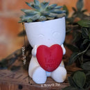 Valentine's Day Mini Flower Pot - Heart-Shaped Succulent (White and Red)