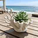 3D-printed coastal coral and clam shell succulent planter pot, white
