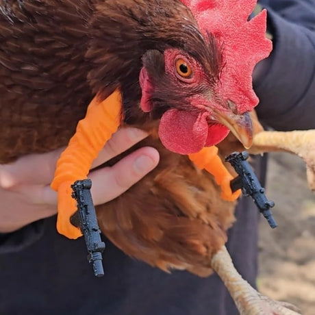 Chicken arms with Guns,Fun, Durable, Rooster Pistol Party, Perfect for Parties, Photoshoots and Pranks Costumes for Chickens to wear(White)