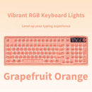 Tri-Mode Wireless Mechanical Keyboard, Bluetooth 5.0/2.4G/USB-C, 96% Layout RGB Backlit Keyboard, Hot Swappable Quiet Switch, Programmable Keys, Multi-Device for PC Mac iOS Android,Grapefruit Orange