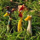Outdoor Garden Decor Chicken, Duck & Goose Resin Animal Statues, Fun Lawn Ornaments for Farmhouse or Microlandscape Design, Weatherproof & Durable
