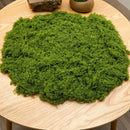 100g Artificial Light Green Filamentous Moss 5-Pack
