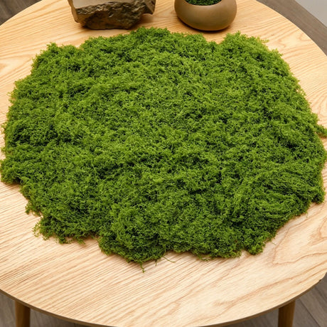 100g Artificial Light Green Filamentous Moss 5-Pack
