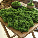 100g Dark Green Artificial Stringy Moss