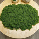 200g Artificial Dark Green Filamentous Moss 3-Pack
