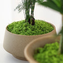 200g Light Green Artificial Stringy Moss