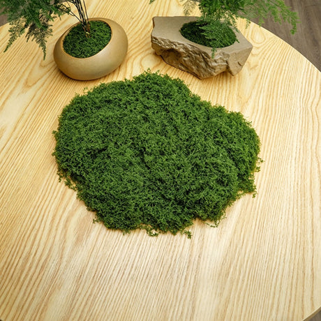 20g Artificial Dark Green Filamentous Moss 10-Pack