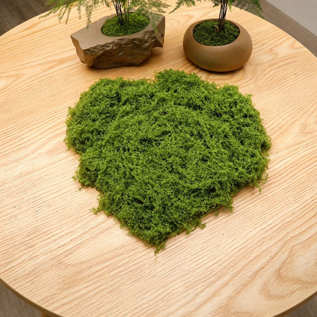 20g Artificial Light Green Filamentous Moss 10-Pack