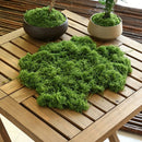 30g Dark Green Artificial Stringy Moss-2 Pack