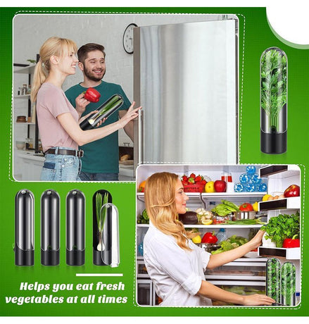 4Pcs Herb & Vegetable Fresh Storage Containers-Black
