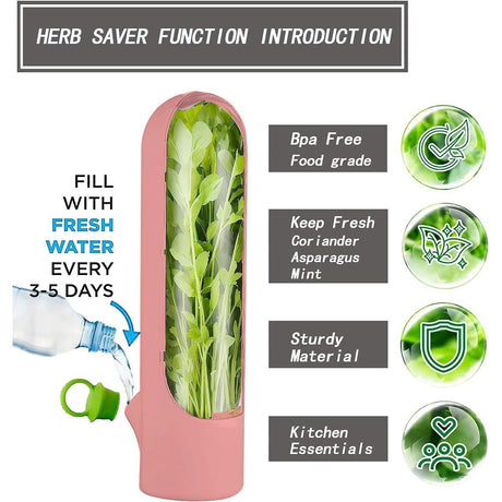 4Pcs Herb & Vegetable Fresh Storage Containers-Pink
