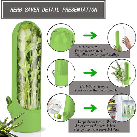 4Pcs Herb & Vegetable Fresh Storage Containers-Pink