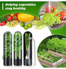 4Pcs Herb & Vegetable Fresh Storage Containers-White
