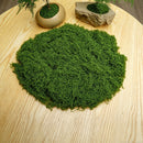 50g Artificial Dark Green Filamentous Moss 8-Pack