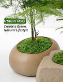 50g Artificial Dark Green Filamentous Moss 8-Pack
