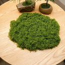 50g Artificial Light Green Filamentous Moss 8-Pack